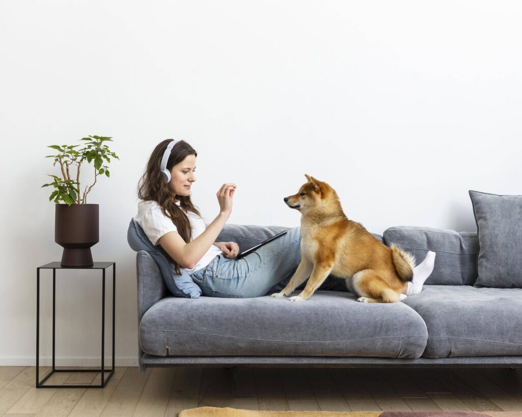 Best Fabric for a Pet-Friendly Couch